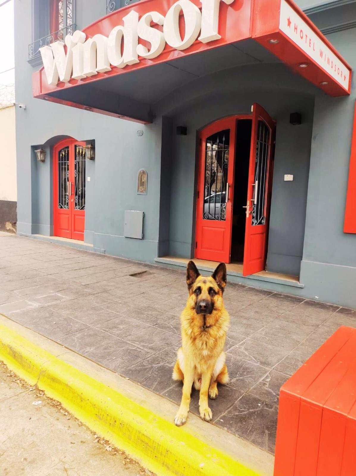 Hotel Windsor Mendoza Esterno foto